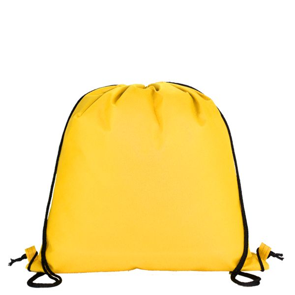Bag20033 y