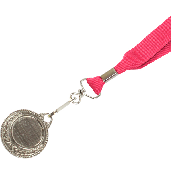 MEDAL110_PI.jpg
